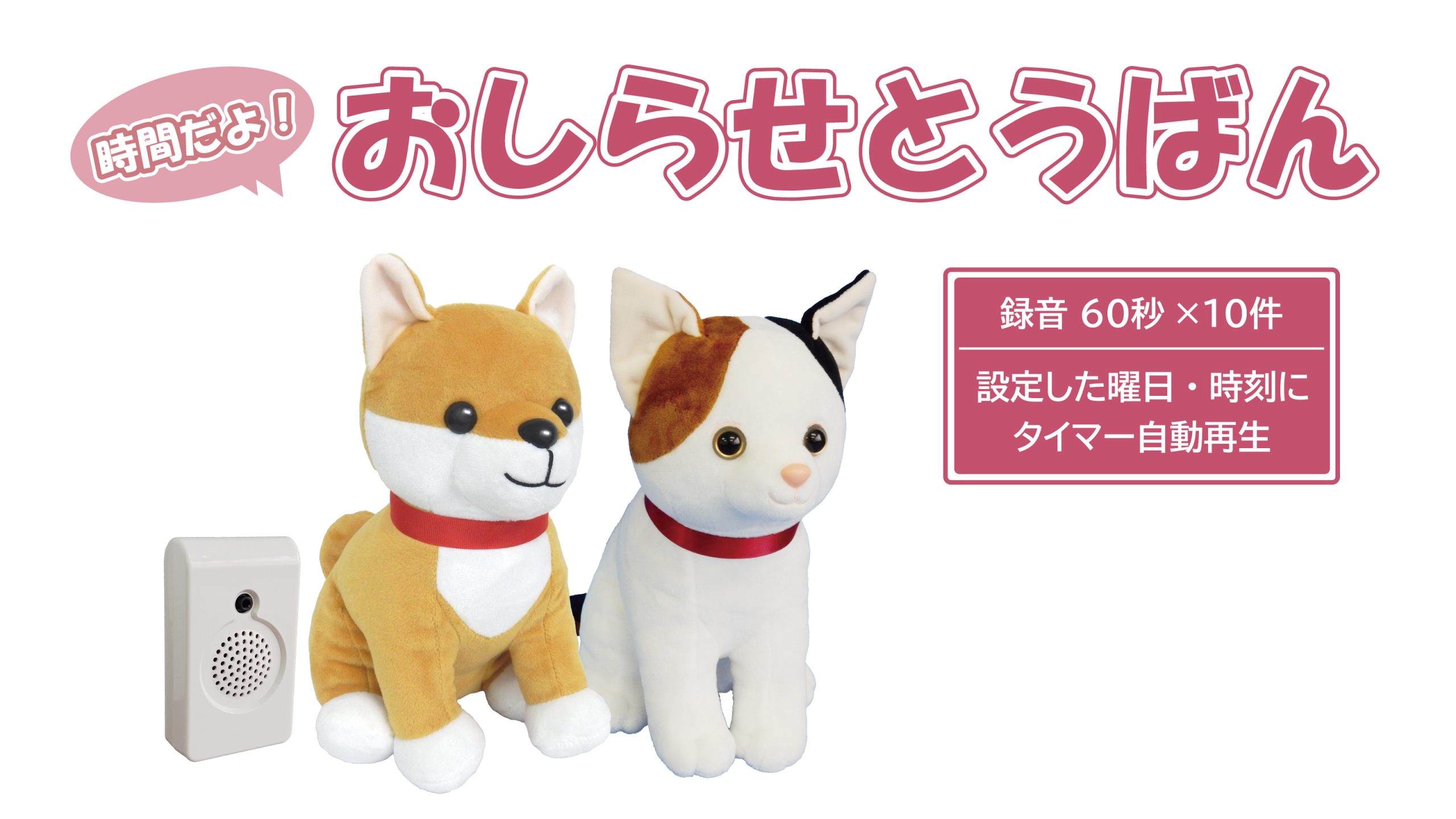 新製品 時間だよ おしらせとうばん 発売のおしらせ 群馬電機株式会社